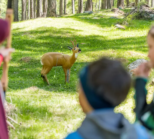 Tiere im 3D Bogenparcours Talai